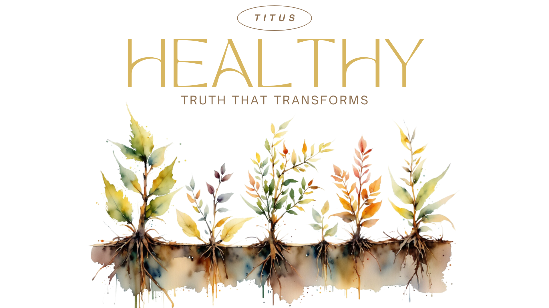 Titus Sermon Series Artwork - 